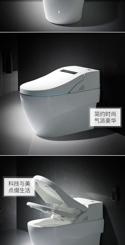 MP3009 integrated multifunctional toilet bowl toilet, hot automatic toilet.