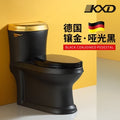 Nordic Household hotel Matte black toilet sanitary ware Siphon Jet Flushing toilet seat toilet pumping toilet luxury closestool